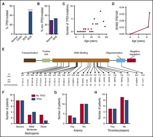 Figure 3. Clonal hematopoiesis with TP53 mutations. (A) Percentage of cases with clonal hematopoiesis due to TP53 mutations. (B) Percentage of cases with clonal hematopoiesis due to mutations in genes besides TP53. ****P < .001 compared with healthy donors. (C) Number of TP53 mutations per patient with SDS vs age. (D) Variant allele frequency (VAF) for R249Q TP53 in serial bone marrow samples obtained for patient SDS34. (E) The TP53 mutations, with the number of times the mutation was seen in parentheses. (F) Number of patients with severe neutropenia (ANC < 500 per mm3), mild/moderate neutropenia (ANC 500-1500 per mm3), or no neutropenia. (G) Number of patients with anemia. (H) Number of patients with thrombocytopenia. a.a., amino acid; n.t., nucleotide; pos, position.