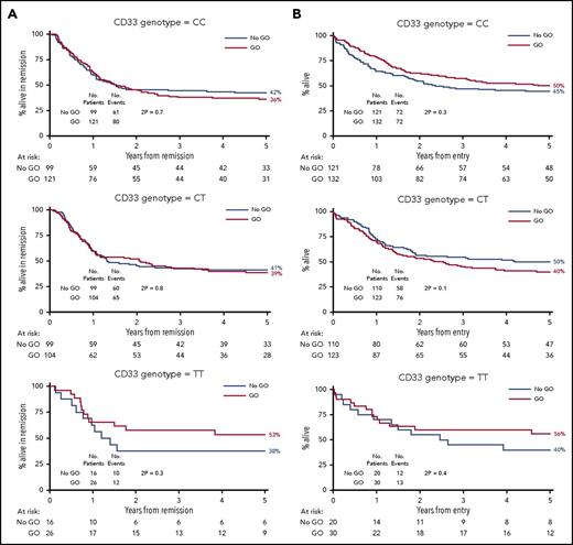 Figure 1. Outcome according to CD33 genotype for SNP rs12459419 in 536 patients randomized to receive or not receive GO. (A) RFS. (B) OS.