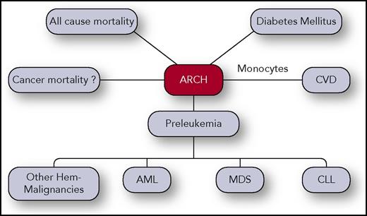 Figure 2. ARCH clinical correlations. ARCH was found to be associated with all-cause cancer mortality, CVD, hematological malignancies such as AML, CLL, MDS, and others. Association between ARCH and cancer mortality was also reported but might be confounded due to exposure to chemo/radiotherapy or due to other reasons. Professional illustration by Somersault18:24.