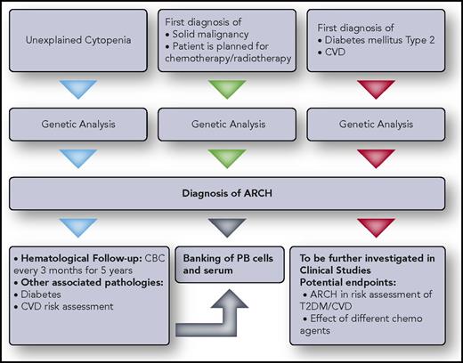 Figure 3. Clinical/research approach to ARCH. Recommendations for genetic testing for individuals with background disease are given. Individuals answering the inclusion criteria should undergo ARCH diagnostic testing and continue follow-up as recommended. Professional illustration by Somersault18:24.
