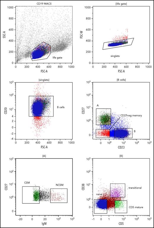 Figure 1. Gating strategies to identify peripheral blood B-cell subsets. Gating on lymphocytes was done according to forward scatter (FSC) vs side scatter area (SSC-A) features (upper left). Cell doublets were excluded by analyzing FSC area (FSC-A) vs FSC width (FSC-W) (upper right). In the next step, gating on CD20+ B cells was applied (middle left). CD27 vs CD23 staining was used to separate CD27+CD23− memory B cells (A) from CD23+CD27− naive, transitional, and mature CD5+ B cells (B), and from CD27−CD23− memory B cells (middle right). CD27+CD23− memory B cells were further subdivided into IgM-negative class-switched B cells (CSM) and IgM+ non–class-switched memory B cells (NCSM) (lower left). CD23+CD27− B cells were further separated into CD5−CD38− naive B cells, CD5+CD38+ transitional B cells, and CD5+CD38− mature CD5+ B cells (lower right). MACS, magnetic-activated cell sorting.