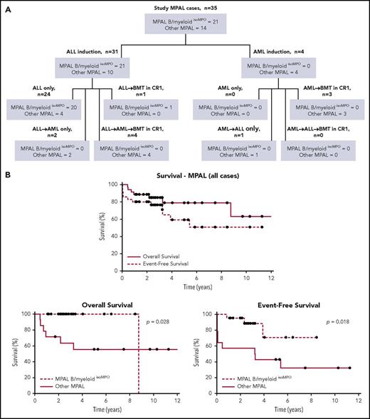 Figure 1. Treatment and survival data. (A) Schematic showing different treatment approaches for entire study population. (B) Kaplan-Meier curves showing OS and EFS for all study MPAL cases (top), as well as OS (bottom left) and EFS (bottom right) of MPAL B/myeloidisoMPO compared with other MPAL cases.