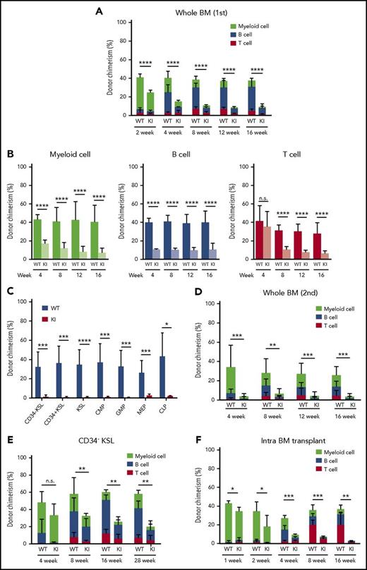 Figure 5. Compromised reconstitution capacity of Srsf2-mutated stem cells. (A) Percentage of CD45.2 donor cells in the PB of CD45.1 recipient mice after competitive transplantation using whole BM (mean ± SD, n = 10). (B) Chimerism of CD45.2 donor cells in myeloid (CD11b+ and/or Gr-1+), B-lymphoid (B220+), and T-lymphoid (CD4+ and/or CD8+) cells in PB (mean ± SD, n = 10). (C) Donor chimerism of stem and progenitor cell fractions in BM 18 weeks after competitive BMT (mean ± SD, n = 7). (D) Percentage of CD45.2 donor cells in PB of CD45.1 recipients after secondary transplantation (mean ± SD, n = 10). (E) Percentage of CD45.2 donor cells in PB after competitive transplantation using enriched LT-HSCs (CD34−KSL cells) (mean ± SD, n = 7). (F) Donor chimerism in PB after intra-BMT, indicated as mean ± SD (WT, n = 4; KI, n = 6). All of the transplantation experiments were performed in biological duplicate, and representative data are shown. *P < .05; **P < .01; ***P < .001; ****P < .0001. KI, Srsf2 mutant transplanted mice; WT, wild-type transplanted mice.