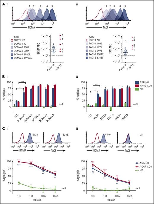 Figure 3. ACAR-mediated cytolysis seen at low target density and low E:T ratios. (A) SUPT1 targets were engineered to express a wide range of BCMA (i) and TACI (ii). Antigen densities of targets are indicated. Dot plots depict receptor levels found on primary MM tumor cells from 50 patients (population median is indicated, and dashed line represents threshold for positive expression) in comparison with engineered SUPT1 targets. (B) These SUPT1BCMA (i) and SUPT1TACI (ii) targets were then cocultured with ACAR-CD8 and H-spacer variants at a low E:T ratio (1:10), and target death determined at 48 hours by FACS and expressed as percentage cytolysis in comparison with media control. (C) Specific cytolysis at 48 hours of human myeloma cell lines MM.1s (i) and U266 (ii) when cocultured with ACAR-transduced T cells at reducing E:T ratios. Inset histograms show BCMA and TACI expression by FACS (blue shaded curves) in comparison with staining with isotype control (open curves). Mean ± SEM of number of experiments are indicated. *P < .05, **P < .01, ***P < .001 by t test, in comparison with PBMC NT.