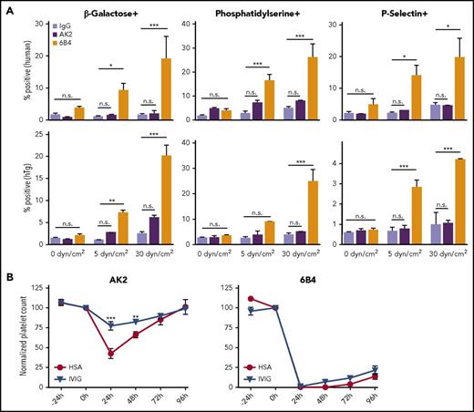 Figure 2. 6B4, but not AK2, induces shear-dependent platelet signaling and IVIg-resistant platelet clearance in mice. (A) Graphs of percentage of positive events for Erythrina cristagalli lectin, Lact-C2, and P-selectin exposure in human (top) and hTg (bottom) PRP treated with control IgG, AK2, or 6B4. Samples were exposed to 0, 5, or 30 dyn/cm2 as indicated (n = 5). (B) Platelet survival curves for hTg mice injected retro-orbitally with AK2 or 6B4 24 hours after intraperitoneal IVIg treatment. Blood was drawn from mice at the time of IVIg administration (–24 hours), time of antibody injection (0 hours), and thereafter every 24 hours until 96 hours after antibody injection. Platelet count determined by complete blood count analysis. *P ≤ .05, **P ≤ .01, ***P ≤ .001. HSA, human serum albumin.
