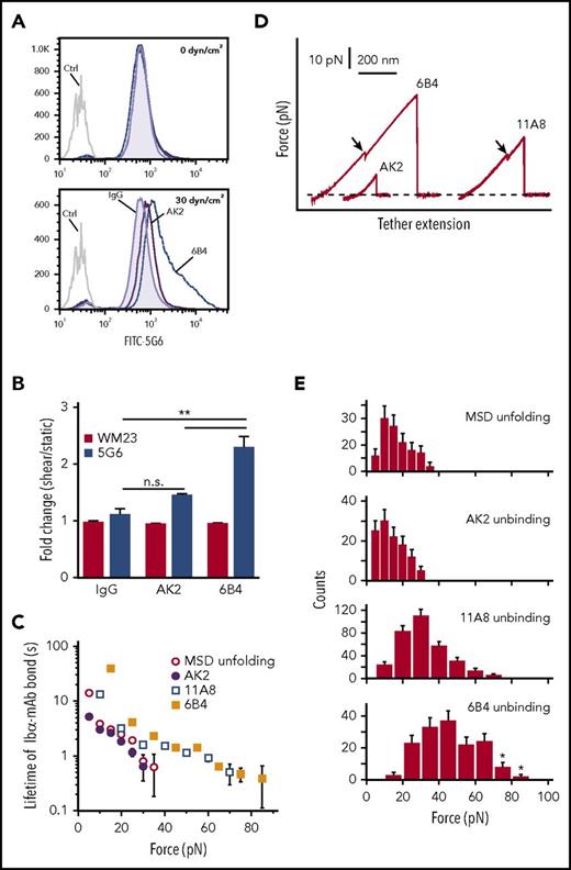 Figure 3. Platelet signaling is triggered by MSD unfolding. (A) Representative histograms illustrating 5G6 binding in PRP treated with control IgG, 6B4, or AK2 under 0 dyn/cm2 (top) and 30 dyn/cm2 (bottom) of uniform shear. EDTA was added to prevent GPIbα shedding via metalloproteinases. (B) Graphs of fold increase (sheared/static) in 5G6 and WM23 binding for PRP treated with IgG, AK2, or 6B4. **P ≤ .01. (C) Plots of lifetimes of noted bonds as a function of force. Lifetimes were obtained by transforming the histograms of unbinding or unfolding forces using the method developed by Dudko et al.53 (D) Overlaid force-distance traces for pulling AK2, 11A8, or 6B4 on GPIb-IX. (E) Force distributions of MSD unfolding or unbinding between LBD mAbs and GPIb-IX. Loading rate was ∼10 pN/s. Error bars are Poisson noise. Asterisks indicate an underestimation of unbinding force resulting from strong bonds that were above the detection limit of our optical tweezers. FITC, fluorescein isothiocyanate.