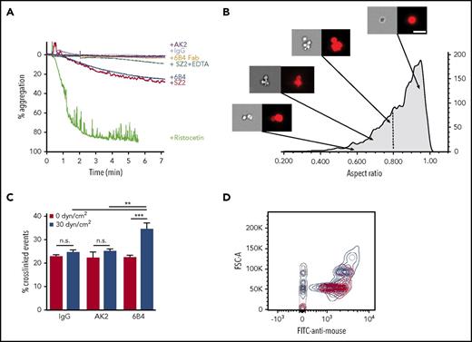 Figure 5. mAbs induce platelet signaling via crosslinking platelets. (A) Percentage aggregation of human PRP treated with AK2, IgG, 6B4 Fab, SZ2 + EDTA, 6B4, SZ2, or ristocetin, determined via aggregometry. (B) Representative images of platelets (right: bright field, left: anti-CD41) in PRP treated with 6B4 at low shear. Images obtained via imaging flow cytometry. Arrows indicate the aspect ratio that corresponds to each set of images. Vertical dotted line demarcates the gate used to identify crosslinked events. Scale bar = 10 μm. (C) Frequency of crosslinked events (events with aspect ratio <0.8) in PRP treated with IgG, AK2, or 6B4 at static (0 dyn/cm2) or sheared (30 dyn/cm2) conditions (n = 3). (D) Contour plots of forward scatter (FSC-A) vs anti-mouse antibody fluorescence for platelet-mimetic beads treated with AK2 (red), 6B4 (blue), and IgG (gray) under sheared conditions. Contour lines = 5%. **P < .01, ***P < .001.