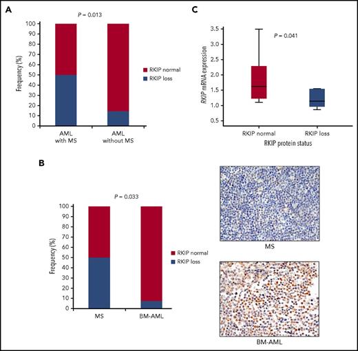 Figure 2. Loss of RKIP is a frequent event in MS, both at the protein and mRNA levels. (A) Clinical evaluation of extramedullary involvement in 58 AML patients, who have been analyzed in respect to RKIP protein expression in the leukemic BM previously (cohort I).15 The frequency of specimens defined as RKIP loss was significantly increased in AML patients with MS compared with those without, as assessed by Fisher’s exact test. (B) RKIP loss was also associated with MS in an independent cohort, where MS was confirmed by biopsy (cohort II). The frequency of RKIP losses was significantly increased in 14 samples of MS compared with 14 specimens of BM from AML patients without any evidence of MS (BM-AML), as calculated by Fisher's exact test. A representative immunohistochemical analysis showing loss of RKIP expression in a specimen of MS and normal RKIP expression in BM-AML is also shown (40× magnification). (C) RKIP mRNA expression analysis by quantitative polymerase chain reaction demonstrating that samples with RKIP loss at the protein level also exhibit decreased levels of RKIP mRNA. NB4 AML cells served as a calibrator, and statistical significance was calculated using the Mann-Whitney-Wilcoxon test.