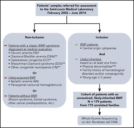 Figure 1. Constitution of a cohort of IBMF patients, likely inherited, with unresolved origin after initial evaluation. *FA diagnosis was performed at initial evaluation, for all patients whose samples were sent in our laboratory, as we previously described, for example, MMC sensitivity in peripheral blood and skin fibroblast cells.18,19 **Typical DBA, SDS, and other CN, and DC patients who were diagnosed up front with these syndromes based on a syndromic presentation were not included in the current “undiagnosed cases” WES study. Nevertheless, we subsequently identified additional patients with mutated DBA, SDS, or DC genes in our cohort through WES analysis. A posteriori, some of these patients had a presentation that might have been recognized as syndromic if fully evaluated. ***Physical abnormalities suggesting an inherited origin included skeletal abnormalities (thumb, jaw, or any limb malformation); neurological defects (developmental delay or intellectual disability, dyspraxia, attention deficit disorder, or abnormal MRI image); growth retardation; skin, nail, or hair abnormalities; genitourinary or renal malformations (renal agenesis, cryptorchidic testis); cardiac abnormalities (valvular heart disease, heart failure); lung abnormalities (mainly restrictive syndrome or fibrosis), liver abnormalities (cirrhosis, fibrosis). BMF, bone marrow failure; MMC, mitomycin C; WES, whole-exome sequencing.