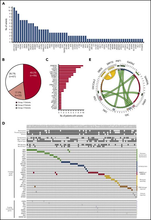 Figure 2. Gene variants in the IBMF cohort. (A) Number of gene variants identified using WES analysis in 179 patients. This collection of variants was further analyzed in comprehensive, iterative roundtable sessions that enabled us to assign each patient into 1 of 3 groups and provide final lists of genes as shown in panels B and C and supplemental Tables 8 and 9. (B) Distribution of patients into 3 groups: group 1, patients assigned with a causal or likely causal gene variant; group 2, patients with possibly contributing variants but no established molecular diagnosis; group 3, patients with no relevant genetic variant identified. (C) Distribution of the genes retained as causal or likely causal (86 patients, also see supplemental Table 8). (D) Integrated matrix of the 86 assigned patients and gene variants. The top part of the panel shows clinical, hematological criteria, and family history. #, consanguinity as screened by WES analysis; *, patients with BM blast cells ≥5% in a context of dysplasia. The remaining part of the panel shows gene mutations including co-occurring mutations. Genes are grouped by broad biological pathways. The distribution of additional, possibly contributing, variants is also shown in the bottom part. (E) Circos plot representation of co-occurring mutations in causal or likely causal BMF genes. Ribbon width is proportional to the number of co-occurrences between genes.