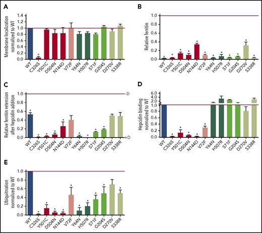 Figure 1. Fpn mutants have either impaired hepcidin binding or intact hepcidin binding but impaired hepcidin-dependent ubiquitination, leading to varying hepcidin resistance. (A) HEK293T cells stably transfected with hFpn-GFP mutants or WT were induced with dox (+D) to express Fpn, surface-thiol biotinylated for 30 minutes, immunoprecipitated with anti-GFP antibody (Ab), and immunoblotted with streptavidin-HRP or anti-GFP Ab. Band intensity was normalized to total GFP and then further normalized to WT Fpn on each blot. Because mutant data within each western blot were normalized to the WT sample on the same blot, the WT value is always 1 and is without error bars. WT is included in the graph only for visual reference. (B) hFpn-GFP mutants were induced overnight with dox and then incubated for 24 hours in the presence of 25 μM ferric ammonium citrate (FAC). The intracellular ferritin concentration was normalized to the total protein concentration. Ferritin was normalized to the uninduced sample (−D) for each cell line (uninduced = 1). Data shown are means ± standard errors of the means of 3 to 5 independent experiments. For statistical analysis, the 2-tailed 1-sample Student t test (normally distributed data) or the 2-tailed 1-sample signed rank test (data with nonnormal distribution) was used with 1 as the comparison. The false discovery rate (FDR) procedure was used to determine significance (*significant). (C) Expression of WT and mutant hFpn-GFP was induced overnight or not, and cells were then incubated for 24 hours with 25 μM FAC ± 1 µg/ml (0.4 µM) hepcidin. The intracellular ferritin concentration was normalized to the total protein concentration and expressed relative to uninduced cells (ie, maximal ferritin levels for each mutant, −dox). (D) HEK293T cells expressing WT and mutant hFpn-GFP were treated with N-terminally biotinylated hepcidin for 30 minutes, immunoprecipitated with anti-GFP Ab, run under nonreducing conditions, and immunoblotted with streptavidin-HRP or anti-GFP Abs. The streptavidin signal was first normalized to total GFP, and then mutant hepcidin binding values were expressed as a fraction of hepcidin binding to WT Fpn. Because mutant data within each western blot were normalized to the WT sample on the same blot, the WT value is always 1 and is without error bars. WT is included in the graph only for visual reference. (E) Fpn-GFP WT and mutants were treated with hepcidin for 30 minutes, immunoprecipitated with anti-GFP Ab, and immunoblotted with anti–poly-/monoubiquitin (FK2) Ab or anti-GFP Ab. The ubiquitination signal was first normalized to the GFP signal, and then the mutant ubiquitination was expressed as a fraction of WT Fpn ubiquitination. As in panel B, WT is included only for visual reference. For statistical analysis in panels B and C, the 2-tailed 1-sample Student t test was used wtih 1 as the comparison, and for panel A, the 2-tailed Student t test (normally distributed data) or the Mann-Whitney rank sum test (data with nonnormal distribution) was used with WT as the comparison. After the P values were obtained, the FDR procedure was used to determine significance (*significant). Data shown are means ± standard errors of the means of 3 to 6 independent experiments. Hepcidin-binding mutants are denoted by red shades and ubiquitination mutants by green shades. Severely impaired mutants are denoted by bolder colors. Severe impairment was defined as ≤25% of WT values based on assessing the values from panels C-E for mutants with impaired hepcidin binding and panels C and E for impaired hepcidin-induced conformational change mutants. Also, for panels A-E, red and dark green indicate severe mutations, medium green indicates mild mutation, and pink and light green indicates borderline mutations.