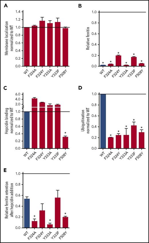 Figure 3. Analysis of nonclinical hFpn-GFP mutants. Cells expressing inducible nonclinical Fpn mutants were analyzed with the same approaches as those expressing clinical mutants. (A) All mutants were displayed on the cell membrane. Membrane localization was determined as in Figure 1A. (B) All mutants exported iron. Ferritin was determined as in Figure 1B by normalizing it to the uninduced (−dox) condition for each cell line (thus, uninduced ferritin levels = 1). (C) Hepcidin binding was determined as in Figure 1D. (D) Ubiquitination was determined as in Figure 1E. (E) Relative ferritin retention after hepcidin addition was determined as in Figure 1C. Data shown are means ± standard errors of the means of 3 to 6 independent experiments. For statistical analysis the 2-tailed 1-sample Student t test was used with 1 as the comparison for panels A-D, and the 2-tailed Student t test (normally distributed data) or the Mann-Whitney rank sum test (data with nonnormal distribution) was used with WT as the comparison for panel E. After the P values were obtained, the FDR procedure was used to determine significance (*significant).