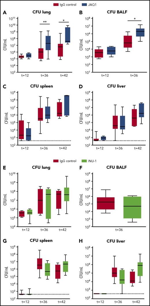 Figure 2. Platelet GPVI, but not CLEC2, supports local host defense during pneumonia-derived sepsis. Mice were injected with JAQ1 (5 days prior to infection), INU-1 (5 and 2 days prior to infection), or IgG control antibody, infected with K pneumoniae via the airways, and euthanized 12, 36, or 42 hours after infection. Data are number of CFUs in the body site indicated for JAQ1 (A-D) and INU-1 (E-H). Data are represented as box and whisker plots of 8 mice per group at each time point. *P < .05, **P < .005 vs IgG control.