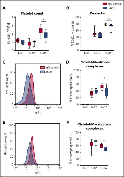 Figure 4. Platelet GPVI is involved in platelet influx and activation and platelet–leukocyte complex formation in the lung. Mice were injected with JAQ1 or IgG control antibody, infected with K pneumoniae via the airway, and sacrificed 12, 36, or 42 hours after infection. (A) Platelet counts. (B) Platelet P-selectin expression. (C-D) Platelet–neutrophil complex formation. (E-F) Platelet–macrophage complex formation. (C,E) Representative histogram of CD61 expression on neutrophils (C) of macrophages (E) in the BALF. Data are presented as box and whisker plots of 8 mice per group. *P < .05, **P < .005 vs IgG control.
