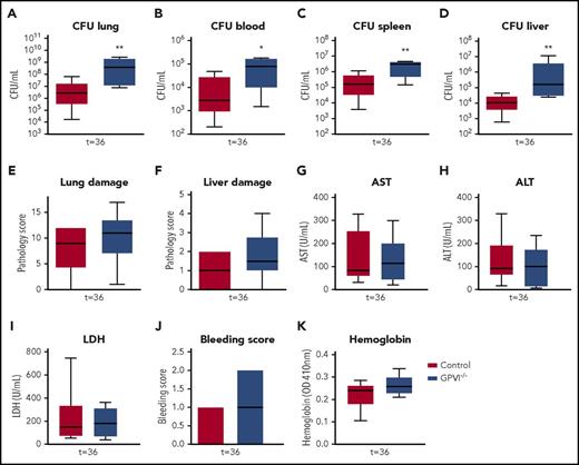Figure 7. GPVI−/− mice also have impaired immunity during gram-negative pneumonia–derived sepsis. Control or GPVI−/− mice were infected with K pneumoniae via the airways and sacrificed 36 hours after infection. (A-D) Bacterial loads for organs indicated. (E) Lung pathology score. (F) Liver pathology scores. (G-I) Levels of aspartate aminotransferase (AST) (G), alanine aminotransferase (ALT) (H), and lactate dehydrogenase (LDH) (I). (J) Bleeding score in the lung. (K) Hemoglobin levels in the lung. Data are presented as box and whisker plots of 8 mice per group. *P < .05 and **P < .005 vs control.
