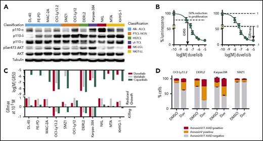 Figure 2. Duvelisib induces cell-autonomous and -nonautonomous effects in TCL cell lines. (A) Expression pattern of the p110 isoforms α, δ, and γ; AKT; and phosphorylation status of AKT at Ser473 across 11 T- and NK-cell lymphoma cell lines. (B) Example of GR50 and GRmax calculations for duvelisib in OCI-LY13.2 cells. The day 0 value is indicated by the green box. (C) GR50 and GRmax values for the 11 lines treated with the indicated agents. Missing data bars indicate GR50 >10 µM. (D) Annexin V/7-AAD staining after 48 hours incubation with dimethyl sulfoxide (DMSO) or 1 µM duvelisib.