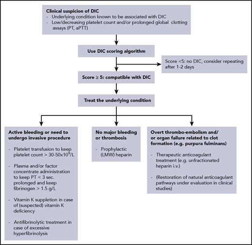 Figure 2. Flowchart for the diagnostic and therapeutic management of DIC. LMW, low molecular weight.