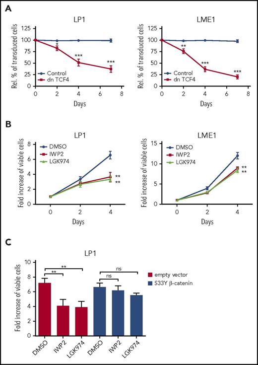 Figure 1. HMCLs display constitutive Wnts signaling. (A) Percentage of transduced cells in HMCLs transduced with empty vector control or dnTCF4 expressed from bicistronic lentiviral vectors, relative to day 0. The mean ± standard deviation (SD) of 3 independent experiments in triplicate is shown. *P ≤ .05, **P ≤ .01, ***P ≤ .001 using unpaired Student t test. (B) Flow cytometry analysis of the effect of small-molecule Wnt secretion inhibitor IWP-2 (2.5 µM) and LGK974 (2.5 µM) on HMCL cell expansion in a 4-day time course, relative to day 0. The mean ± SD of 3 independent experiments in triplicate is shown. **P ≤ .01 using unpaired Student t test. (C) Flow cytometry analysis of the effect of small-molecule Wnt secretion inhibitor IWP-2 (2.5 µM) and LGK974 (2.5 µM) on the expansion of HMCL LP1 transduced with S33Y mutant β-catenin or the empty vector control in a 4-day time course, relative to day 0. The mean ± SD of 3 independent experiments in triplicate is shown. Not significant (ns) P > .05, **P ≤ .01 using 1-way analysis of variance with Bonferroni correction.