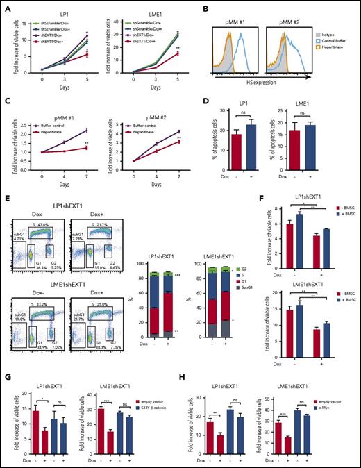 Figure 3. Loss of HS inhibits MM cell growth by attenuating Wnt signaling. (A) Flow cytometry analysis of the effect of doxycycline (Dox)–induced EXT1 KD on MM cell expansion at 5 days of culture, relative to day 0. Short hairpin Scramble (shScramble) was used as control. The mean ± standard deviation (SD) of 3 independent experiments in triplicate is shown. *P ≤ .05, **P ≤ .01 using unpaired Student t test. (B) Flow cytometry analysis of primary MM cell-surface HS expression after heparitinase treatment. (C) Flow cytometry analysis of primary MM cell expansion after heparitinase or control buffer treatment. A representative plot for 2 independent experiments is shown. **P ≤ .01 using unpaired Student t test. (D) Flow cytometry analysis of the effect of Dox-induced EXT1 KD on HMCL apoptosis. The mean ± SD of 3 independent experiments in triplicate is shown, not significant (ns) using unpaired Student t test. (E) Left: representative plot of cell-cycle analysis after BrdU incorporation upon Dox-induced EXT1 KD in HMCLs. Right: quantification of cell-cycle distribution after BrdU incorporation in Dox-induced EXT1 KD in HMCLs, The mean ± SD of 3 independent experiments in triplicate is shown. *P ≤ .05, **P ≤ .01, ***P ≤ .001 using unpaired Student t test. (F) Flow cytometry analysis of the effect of Dox-induced EXT1 KD on the expansion of HMCLs in the presence of BM stromal cells (BMSCs) in 4 days. The mean ± SD of 3 independent experiments each performed in triplicate is shown. *P ≤ .05, **P ≤ .01 using 1-way analysis of variance (ANOVA) with Bonferroni correction. (G) Flow cytometry analysis of the effect of Dox-induced EXT1 KD on the expansion of HMCLs transduced with S33Y β-catenin or empty control vector in 5 days. The mean ± SD of 3 independent experiments in triplicate is shown. ns P > .05, *P ≤ .05, ***P ≤ .001 using 1-way ANOVA with Bonferroni correction. (H) Flow cytometry analysis of the effect of Dox-induced EXT1 KD on the expansion of HMCLs transduced with c-Myc or empty control vector in 5 days. The mean ± SD of 3 independent experiments in triplicate is shown. ns P > .05, **P ≤ .01, ***P ≤ .001 using 1-way ANOVA with Bonferroni correction.