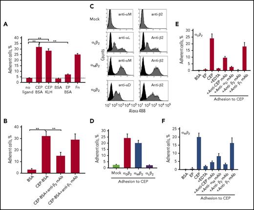 Figure 4. Macrophages adhere to the CEP-modified proteins via β2 integrins. (A-B) Peritoneal macrophages. Ninety-six-well plates were coated with different ligands for 3 hours at 37°C. (A) Fluorescently labeled macrophages were added to the wells and cell adhesion was determined after 30 minutes in a fluorescence plate reader. (B) Some samples were preincubated with anti-β2 and anti-β1 blocking antibodies before the adhesion assay.**P < .01. (C-F) HEK 293–transfected cells. (C) αMβ2, αDβ2, and αLβ2-HEK 293 transfected cells were generated as described in the “Materials and methods” section and tested by flow cytometry analysis. The mock-transfected cells are shown only with anti-αM mAb. A similar result was obtained with anti-αL and anti-αD antibodies. Ninety-six-well plates were coated with CEP (D) or different ligands (E-F) for 3 hours at 37°C. αMβ2, αDβ2, αLβ2, or mock-transfected cells were labeled with 10 µM Calcein AM. (E-F) For some experiments, cells were preincubated with anti-integrin blocking antibodies. In separate wells, immobilized CEP-BSA was preincubated with anti-CEP mAb. After incubation, cells were added to the wells and cell adhesion was determined after 30 minutes in a fluorescence plate reader. Statistical analyses were performed using Student t test. Fn, fibronectin.