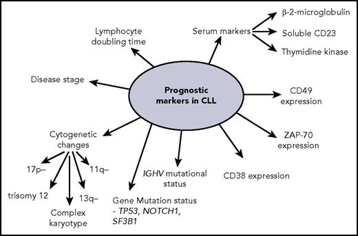 Figure 1. Selected prognostic markers in CLL. A number of factors have been shown to have prognostic significance in CLL, and a number of these are shown here.