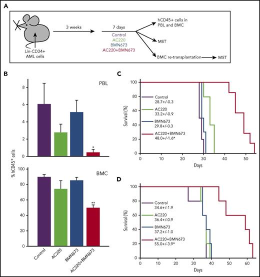 Figure 5. PARP1i BMN673 combined with FLT3i AC220 inhibited the growth in FLT3(ITD)-positive AML primary cells in mice and reduced the number of LSCs. (A) Experimental design. (B) Mean percentage of hCD45+ cells ± SD in peripheral blood cells (PBL, n = 5-6) and bone marrow cells (BMC, n = 3-5). *P < .01, **P = .002 vs individual treatment, Student t test and response additivity approach, respectively. (C) Survival curves and MST of mice bearing a primary AML xenograft and treated as indicated (n = 6-10 mice per group). (D) Survival curves and MST of secondary transplant mice. *P ≤ .002 vs individual treatments, Kaplan-Meier log-rank test.