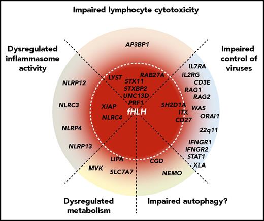 Schematic representation of the spectrum of HLH-predisposing genetic conditions, representing different pathogenic mechanisms. Genes are grouped by pathogenic mechanisms and radially organized by their associated risk of HLH, where genes at the center are fully penetrant. Mutations in genes required for lymphocyte cytotoxicity invariably lead to HLH in infancy. Mutations in other genes that impair control of common viruses via impaired lymphocyte signaling (eg, SH2D1A, ITK, and CD27) are often associated with HLH, whereas impaired lymphocyte development and function (genes causative of severe combined immunodeficiency or combined immunodeficiency) may also predispose patients to HLH. Moreover, patients with more general defects in interferon signaling (eg, genes causative of Mendelian susceptibility to mycobacterial diseases) may develop HLH. Constitutive activation or dysregulation of the inflammasome, as observed in patients with activating NLRC4 mutations or loss-of-function XIAP mutations, can cause HLH through primary macrophage activation. This might also be the case for genetic variants in other DIAP genes, as revealed by Chinn et al. Similarly, even in metabolic diseases such as Wolman disease (LIPA), primary macrophage activation resulting from accumulation of metabolites might constitute the initial trigger for HLH development. In chronic granulomatous disease, impaired autophagy may represent a mechanism for HLH susceptibility.