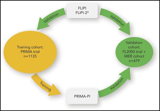 Training and validation of prognostic models in advanced stage follicular lymphoma. The patient cohort of the Primary Rituximab and Maintenance (PRIMA) trial was used to validate and compare the prognostic capacity of FLIPI and FLIPI-2. Because the PRIMA-PI was developed on the PRIMA cohort, its prognostic capacity cannot be compared with the other prognostic models on the PRIMA cohort because of overfitting. The combined FL2000 and Molecular Epidemiology Resource (MER) cohort was used to validate the prognostic capacity of the PRIMA-PI and to compare it with FLIPI. *The FLIPI-2 could not be assessed for the FL2000 + MER cohort.