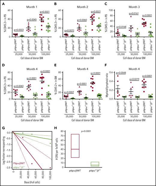 Figure 2. Engrafting efficiency of pitpα/β WT and pitpα−/−/β−/−BM as assessed by competitive BM transplantation and limiting dilution analysis. Donor BM cells (CD45.1− CD45.2+) from pitpα/β WT and pitpα−/−/β−/− mice at various doses (25 000, 50 000, and 100 000) were mixed with 1 × 105 competitor Boy/J BM cells (CD45.1+CD45.2−) and injected IV into lethally irradiated F1 host mice (CD45.1+CD45.2+). Following 1 (A), 2 (B), 3 (C), and 4 months (D), the percentage of donor-derived cells (referred to as CD45.2+) in the PB was determined by flow cytometry. (E) The percentage of donor-derived cells in the BM was determined at 4 months. (F) The myeloid (CD11b+)/ lymphoid (CD3+ and B220+) ratio in the PB at 4 months was determined by flow cytometry. (G-H) Limiting dilution analysis was performed. (G) Poisson statistical analysis of data from the limiting dilution transplantation. Each circle represents the percentage of negative mice for a specific dose of cells. Each solid line indicates best-fit linear model for the data set. Dotted lines represent 95% confidence intervals. (H) The number of CRUs in 1 × 106 cells was calculated. See supplemental Table 1 for more details. Data represent the mean ± SEM of 6 to 10 host/recipient mice per group.