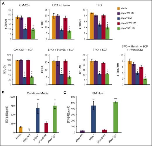Figure 3. CM from expanded pitpα−/−and pitpα−/−/β−/−MKs suppressed colony formation. (A) HPC colony assays were performed utilizing BM from WT C57Bl/6 mice in the presence of CM from pitpα WT littermate, pitpα−/−, pitpα/β WT littermate, and pitpα−/−/β−/− MKs cultures and the indicated growth factors. CFU-GM, BFU-E, CFU-MK, and CFU-GEMM colony numbers were determined by morphology of the cells and colony formation. Each test was plated in triplicate. Data are the average of 2 different batches of CM ± SEM. *P < .05, **P < .005, and ***P < .0005 when compared with media alone control as determined by Student t tests. (B) TGF-β1 levels in pitpα WT, pitpα−/−, pitpα/β WT, and pitpα−/−/β−/− MKs CM was examined by ELISA. Samples were plated in triplicate. The data are representative of 2 different batches of samples ± standard deviation. ND indicates that TGF-β1 was not detected in sample. **P < .005 when compared with either media alone or WT control as determined by Student t tests. (C) TGF-β1 levels in pitpα WT, pitpα−/−, pitpα/β WT, and pitpα−/−/β−/− BM flush fluid was examined by ELISA. Samples were plated in triplicate. Data are the average levels of 5 mice per group. **P < .005 and ***P < .0005 when compared with WT BM flush as determined by Student t tests. EPO, erythropoietin; PWMSCM, pokeweed mitogen spleen conditioned media; SCF, stem cell factor.