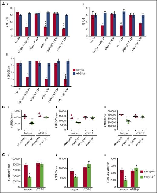 Figure 4. Neutralizing TGF-β with antibodies in vitro and in vivo reversed the myelosuppressive effect of pitpα−/−/β−/−MKs. (A) HPC colony assays were performed in the presence of media with 10 ng/mL rTGF-β1 or CM from pitp WT and pitpα−/−/β−/− MKs that was pretreated with 1 µg/mL anti-TGF-β neutralizing antibody or an isotype antibody control for one hour at 4°C prior to being placed into the HPC colony assays. BM from WT C57Bl/6 mice was used for the HPC colony assays. The number of CFU-GM (Ai), BFU-E (Aii) and CFU-GEMM (Aiii) was counted per 5 × 104 nucleated BM cells. Each group was plated in triplicate. Data are presented as mean ± SEM and are representative of 2 separate experiments. ***P < .0005 when compared with media isotype control group as determined by Student t tests. (B-C) Pitpα−/−/β−/− and WT mice were treated with intraperitoneal injections once per day for 2 days of either 0.5 mg/kg anti-TGF-β or isotype control antibodies. (B) Twenty-four hours following the final injection of antibodies, BM was collected and analyzed phenotypically for LT-HSC (Bi), ST-HSC (Bii), and MEP (Biii) numbers per femur by flow cytometry. (C) BM was also collected and analyzed by HPC colony assay. The number of CFU-GMs (Ci), BFU-Es (Cii), and CFU-GEMMs (Ciii) per femur was counted (n = 3 per group). For the colony assays, each mouse sample was plated in triplicate. For the in vivo data, data represent mean ± SEM. *P < .05 and **P < .005 when compared with pitpα/β WT isotype control as determined by Student t test.