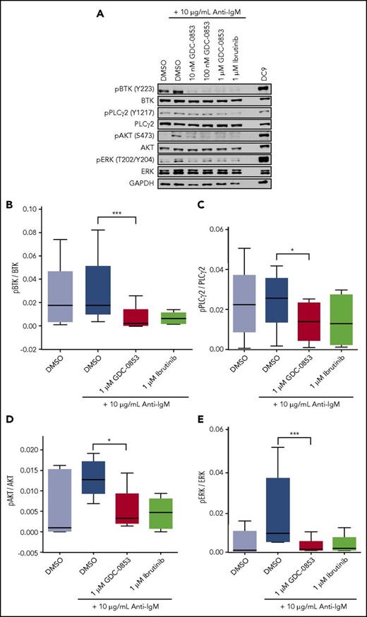 Figure 1. BCR signaling is inhibited by GDC-0853 in CLL patient cells. (A) Representative immunoblot demonstrating the effect of GDC-0853 on BCR signaling. (B-E) Quantification of BCR signaling from 5 patients with CLL using immunoblot densitometry analysis. *P ≤ .05; ***P ≤ .001. GAPDH, glyceraldehyde-3-phosphate dehydrogenase.