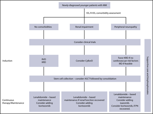 Figure 1. Proposed guidelines for management of younger MM patients. CyBorD, cyclophosphamide, bortezomib, dexamethasone; ISS, International Staging System; KRD, carfilzomib, lenalidomide, dexamethasone; PN, peripheral neuropathy; R-ISS, revised International Staging System; RVD, lenalidomide, bortezomib, dexamethasone; IRD, ixazomib, lenalidomide, dexamethasone.