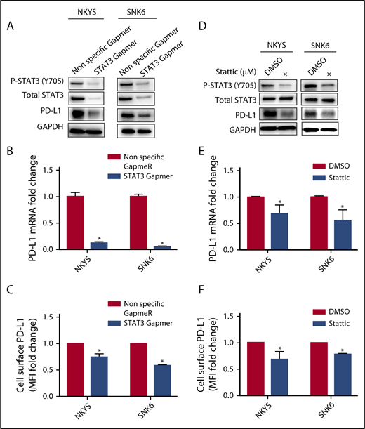 Figure 4. Effect of STAT3 silencing and inhibition on PD-L1 expression in STAT3 mutant NKTL cell lines. STAT3 mutant NKTL cell lines NKYS and SNK6 cells were nucleofected with nonspecific and STAT3-specific Gapmer for 72 hours. These cells were harvested for (A) western blot analysis of pSTAT3, total STAT3, and PD-L1; (B) RT-qPCR to detect PD-L1 mRNA; and (C) flow cytometry to detect membranous PD-L1 expression. NKYS and SNK6 were incubated with dimethyl sulfoxide vehicle or 1 µM Stattic for 24 hours. These cells were harvested for (D) western blot for pSTAT3, total STAT3, and PD-L1; (E) RT-qPCR to detect PD-L1 mRNA; and (F) flow cytometry to detect membranous PD-L1 expression. PD-L1 mRNA was represented as fold change relative to control and normalized against housekeeping gene CHMP2A. Membranous PD-L1 was represented as MFI fold change relative to control. All results are expressed as mean ± SD of 3 independent experiments. *P < .05 compared with control.