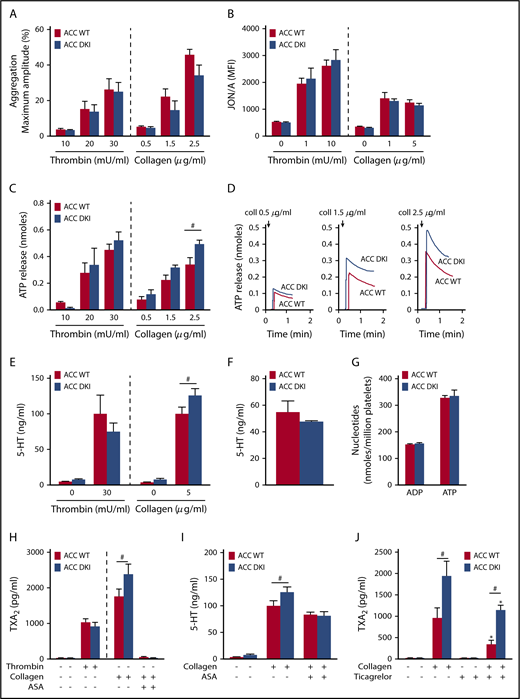 Figure 3. ACC DKI platelets display increased dense granule secretion and thromboxane generation on collagen stimulation. (A) Washed platelets were stimulated with thrombin or collagen at the indicated concentrations, and light transmission was measured (Chrono-Log). Aggregation is expressed as the maximal percentage of light transmitted. The dashed line represents separate analyses. The results are expressed as means ± SEM (at least 4 experiments for each condition). (B) αIIbβ3 activation (binding of JON/A) was analyzed by flow cytometry in washed ACC WT and DKI platelets stimulated with thrombin for 8 minutes or collagen for 30 minutes at the indicated concentrations. The dashed line represents separate analyses. The results are expressed as mean fluorescence intensity (MFI) ± SEM (at least 4 experiments for each condition). (C-D) Washed ACC WT and DKI platelets were stimulated with thrombin or collagen at the indicated concentrations in the presence of Luciferase-Luciferin reagent, and ATP release was measured in a Lumi-aggregometer. (C) The dashed line represents separate analyses. The results are expressed as mean amount of ATP released (nmoles) ± SEM (at least 4 experiments for each condition). #P ≤ .05 between ACC WT and DKI platelets. The data underwent 2-way ANOVA. (D) Representative traces of ATP secretion after 0.5 µg/mL, 1.5 µg/mL, and 2.5 µg/mL collagen stimulation. (E) Washed platelets (30 × 103/µL) were stimulated with 30 mU/mL thrombin or 5 µg/mL collagen for 5 minutes, and serotonin (5-HT) was measured in the supernatant by ELISA kit. The dashed line represents separate analyses. The results are normalized to ACC WT-stimulated platelets and are expressed as means ± SEM (at least 3 experiments for each condition). #P ≤ .05 between ACC WT and DKI platelets. The data underwent 2-way ANOVA. (F) Washed platelets (7.5 × 103/µL) were centrifuged, the pellet was lysed, and serotonin (5-HT) was assayed in the lysate. The results are expressed as means ± SEM (n = 3). (G) Washed platelets were centrifuged, the pellet was lysed, and ADP and ATP content assayed in the lysate by reverse-phase high-performance liquid chromatography. Results are expressed as means ± SEM (n = 3). (H) Washed platelets were stimulated with 100 mU/mL thrombin alone or preincubated or not for 45 minutes with 1 mM aspirin (ASA), and stimulated with 5 µg/mL collagen. TXA2 was measured in the supernatant by ELISA. The dashed line represents separate analyses. The results are expressed as means ± SEM (at least 3 experiments for each condition). #P ≤ .05 between ACC WT and DKI platelets. The data underwent 2-way ANOVA. (I) Washed platelets were preincubated or not for 45 minutes with 1 mM ASA and stimulated with 5 µg/mL collagen. Serotonin (5-HT) was measured in the supernatant by ELISA. The results are expressed as means ± SEM (at least 3 experiments for each condition). #P ≤ .05 between ACC WT and DKI platelets. The data were assessed by 2-way ANOVA. (J) Washed platelets were preincubated with 30 µM ticagrelor or the corresponding vehicle (dimethyl sulfoxide) for 30 minutes and stimulated with 5 µg/mL collagen for 5 minutes. TXA2 was measured in the supernatant by ELISA. The results are expressed as means ± SEM (n = 4). *P ≤ .05 relative to respective untreated platelets, #P ≤ .05 between ACC WT and ACC DKI platelets. The data underwent 2-way ANOVA. See also supplemental Figures 1-5.