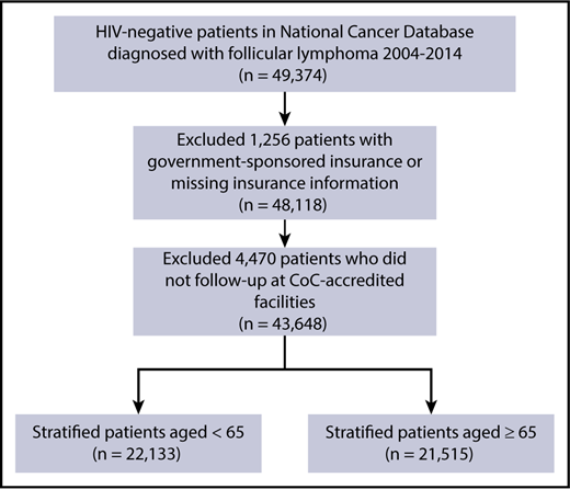 Figure 1. CONSORT diagram depicting FL case selection process. The total number of FL patients who met inclusion and exclusion criteria was 43 648. These patients were then stratified into 2 cohorts of patients age <65 and ≥65 years.