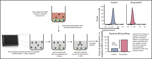 Figure 4. Dynamic iBH3 profiling. A single-cell suspension is obtained from a cell line or primary cell sample. These cells are exposed to apoptosis-inducing drugs of interest for a short period of time. Cells are then gently permeabilized using digitonin to allow BH3 peptide uptake. Apoptotic priming is measured via cytochrome C retention using flow cytometry. By comparing the retained cytochrome C in nontreated vs treated cells, drug efficacy can be determined. The higher the release of cytochrome C the more effective the drug. This assay can be further used to measure potential shifts in prosurvival protein dependency.
