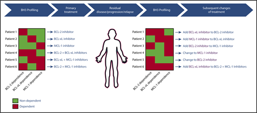 Figure 5. Theoretical model for how BH3 profiling could be used to guide clinical treatments with BCL-2 family protein inhibitors.