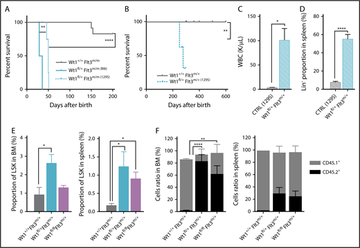 Figure 7. Wt1 loss phenotype is influenced by the genetic background and rescues Flt3-ITD mutation impact on stem cell population. (A) Kaplan-Meier survival curves of Wt1fl/+ Flt3m/m animals with a C57BL/6 (Bl6) or 129S1/SvImJ (129S) genetic background compared with Wt1+/+ Flt3m/m (Bl6) controls (n = 5-7). (B) Kaplan-Meier survival curves of Wt1fl/+ Flt3m/+ (129S1/SvImJ) mice compared with control littermates (n = 10). WBC (K/µL) counts (C) and proportion of Lin− cells (D) in the SPL of Wt1fl/+ Flt3m/+ (129S1/SvImJ) mice compared with control littermates (n = 10). (E) Percentages of LSK cells in the BM and the SPL of primary recipients transplanted with total BM cells from Wt1+/+ Flt3m/+, Wt1fl/+ Flt3m/+, or Wt1fl/fl Flt3m/+ mice (n = 5). (F) Ratios of donor (CD45.2+) mature cells in the BM and SPL compartments of recipient mice transplanted with cells from control, Wt1fl/+ Flt3m/+, or Wt1fl/fl Flt3m/+ mice (n = 5). Data are mean ± standard error of the mean (C-F). *P < .05, **P < .01, ****P < .0001, Mantel-Cox test (A-B) or 2-way analysis of variance (C-F).