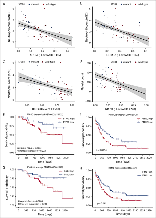 Figure 3. Associations between aberrant splicing and clinical variables or patient survival. (A-C) Scatterplots of aberrant splicing values in AP1G2 (A), DOM3Z (B), and ERCC3 (C) and neutrophil counts (ANC) in patients with MDS. (D) Scatterplot of aberrant splicing values in NICN1 and platelet counts in patients with MDS. (E-H) Kaplan-Meier survival plots for individual isoforms of PTPRC and IFI44L in our MDS cohort (E and G, respectively), and the Cancer Genome Atlas AML cohort (F and H, respectively).