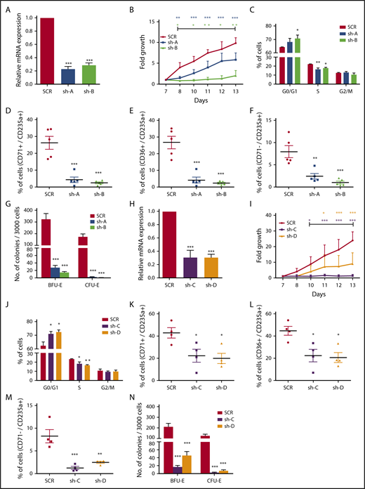 Figure 5. Functional effects of AKAP8 and SEPT2 knockdown on erythroid differentiation. (A,H) Real-time quantitative PCR showing the mRNA knockdown of AKAP8 (A) and SEPT2 (H) in erythroid cells. (B,I) Growth curves for erythroid cells with knockdown of AKAP8 (B) and SEPT2 (I). (C,J) Cell cycle analysis of erythroid cells with knockdown of AKAP8 (C) and SEPT2 (J) on day 11 of culture. (D-F and K-M) Flow cytometry quantification of erythroid differentiation. (D and K) Percentage of CD71+CD235a+ cells in erythroid cultures with knockdown of AKAP8 (D) and SEPT2 (K) on day 11. (E and L) Percentage of CD36+CD235a+ cells in erythroid cultures with knockdown of AKAP8 (E) and SEPT2 (L) on day 11. (F and M) Percentage of CD71−CD235a+ cells in erythroid cultures with knockdown AKAP8 (F) and SEPT2 (M) on day 14. (G and N) Number of BFU-E and CFU-E obtained from CD34+ progenitors with knockdown of AKAP8 (G) and SEPT2 (N) after 14 days in methylcellulose (colony-forming cell assays). Results shown in A-G were obtained from 5 independent experiments, except for C (3 replicates). Results shown in H-N were obtained from 4 independent experiments. Data represent the mean ± SEM. All P-values were obtained by 1-way ANOVA with Bonferroni’s posttest with the exception of G and N, in which 2-way ANOVA with Bonferroni’s posttest was used. *P < .05; **P < .01; ***P < .001.