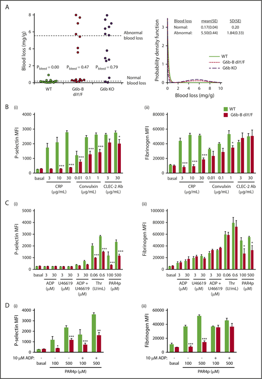 Figure 3. Aberrant platelet activation in G6b-B diY/F mice. (A) Blood loss/body weight ratio following excision of 5 mm of tail tip in isoflurane-anesthetized mice of the indicated genotypes. Data were analyzed using a bimodal function, comprising a gamma and normal distribution for low- and high-bleeding tendency, respectively. Likelihood ratio tests were performed to determine whether the probability of bleeding (Pbleed) differed between genotypes. (B-D) Flow cytometric measurement of P-selectin exposure and fibrinogen binding of WT and G6b-B diY/F platelets in whole blood using ITAM-activating (Bi-ii) and G protein–coupled receptor–activating (Ci-ii) agonists (mean ± SEM, n = 5 or 6 per stimulation). Thrombin stimulation was in the presence of 10 μM glycine-proline-arginine-proline to prevent blood clotting. (Di-ii) Rescue of activating PAR4 peptide (PAR4p)-stimulated fibrinogen binding in the presence of 10 μM ADP (mean ± SEM, n = 5 or 6). Platelets were gated using forward and side scatter, and 10 000 events were collected. *P < .05; **P < .01; ***P < .001.