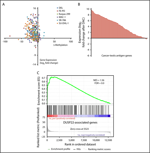 Figure 5. Pharmacologic DNA demethylation recapitulates the DUSP22 signature in ALCL cell lines. (A) Changes in percentage methylation (assessed by RRBS) and gene expression (assessed by RNA sequencing) for genes in the DUSP22 signature in 6 ALCL cell lines treated with decitabine (DAC). (B) Average change in expression for 103 CTA genes detectable in ALCL cell lines treated with DAC. (C) DUSP22-associated genes based on gene expression data from the frozen tissue discovery set were enriched among genes whose expression was induced by decitabine in cell lines (see supplemental Methods for additional details). A negative control gene set comprising genes significantly downregulated in DUSP22-rearranged ALCLs showed no evidence of enrichment (FDR, 0.54).