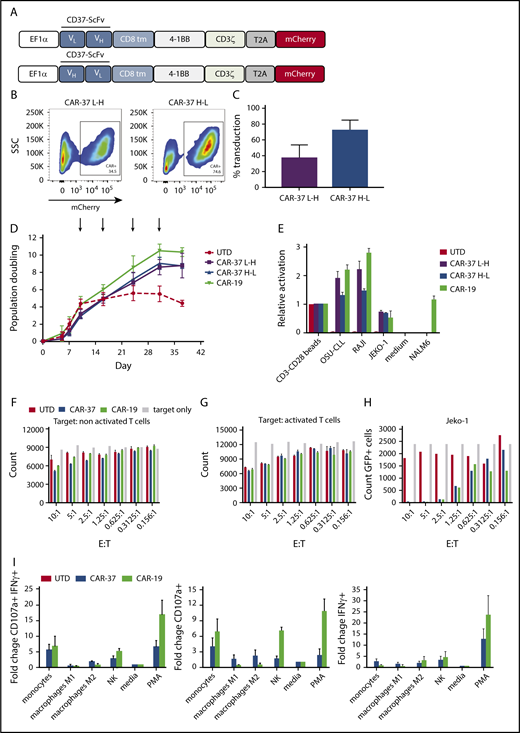 Figure 2. In vitro CAR-37 generation and expansion. (A) Two anti-CD37 second-generation chimeric antigen receptors were constructed with different orientations of a humanized murine antibody-derived single-chain variable fragment: the light-to-heavy orientation (CAR-37 L-H, top) and the heavy-to-light (CAR-37 H-L, bottom). (B) Representative flow plots of primary human T cells transduction efficiency after 10 days of activation with CD3/CD28 beads. (C) Expanded T cells from 3 healthy donors included variable CAR-37 expression with a mean of 38% (L-H) and 75% (H-L). (D) Ex vivo expansion of CD3/CD28 bead-activated and target-stimulated T-cells using static culture conditions in 3 healthy donors for 38 days. Each arrow represents antigen stimulation with K562 cells transduced to express CD37 and CD19. (E) Activation of Jurkat reporter (NFAT-Luc) T cells transduced with different CAR constructs and cocultured with tumor cells. Luciferase activity was measured after 16 hours. (CD3-CD28 beads: positive control). (F) Number of carboxyfluorescein succinimidyl ester–labeled, unstimulated target T cells measured by flow cytometry after 24 hours of coculture at indicated E:T ratio with CAR-37H-L, CAR-19, or UTD T cells. (G) Number of carboxyfluorescein succinimidyl ester–labeled T cells stimulated with PMA/ionomycin for 6 hours, then measured by flow cytometry after 24 hours of coculture at indicated E:T ratio with CAR-37H-L, CAR-19, or UTD T cells. (H) Number of Jeko-1 CBG−GFP cells measured by flow cytometry after 24 hours of coculture at indicated E:T ratio with CAR-37H-L, CAR-19 or untransduced T cells. Bars indicate mean ± standard error of the mean (SEM) count of triplicates from 1 normal donor, representative of 3 normal donors. (I) CD107a and IFN-γ production relative to media by CAR-37H-L, CAR-19 T cells incubated with primary immune cells for 6 hours at 1:1 E:T ratio was analyzed by flow cytometry. Bars show mean ± SEM percentage of the 3 normal donors analyzed.
