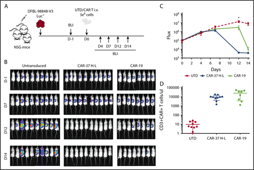 Figure 5. CAR-37 mediated tumor clearance of MCL patient-derived xenograft. (A) Protocol schema: NSG mice were injected intravenously with 1 × 106 MCL patient-derived cells and monitored for tumor burden by bioluminescent imaging (BLI) over time. At day 0, mice were randomly assigned on the basis of tumor burden to receive 3 × 106 control T cells (UTD), CAR-37, or CAR-19. (B) Representative BLI of MCL xenografts over time. (C) Average flux (photons/s) of whole mice in the 3 groups at different points. Graph is representative 2 simultaneous experiments of 5 mice per group, conducted with CAR T cells obtained from 2 different healthy donors, and pooled data. Mean ± SD shown (Student t test, *P < .05). (D) Absolute numbers of CAR T cells were monitored in peripheral blood using flow cytometry. Absolute counts of CAR T cells are plotted at day 14.