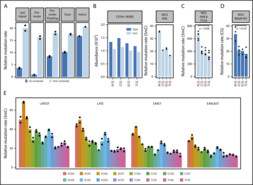 Figure 2. Damage introduced by 5mC deamination is influenced by genetic and epigenetic features. (A) Observed relative mutation rates (RMRs) at different genomic features in whole genome sequencing from WEHI-AML-1 and WEHI-AML-2, calculated per Mb of CG dinucleotides (CG corrected), or corrected for methylation status in normal CD34+ cells (5mC corrected). (B) Abundance and methylation status for NCG trimers from whole genome bisulfite sequencing derived from normal CD34+ cells.37 An RMR value was calculated for WEHI-AML-1 and WEHI-AML-2 for each NCG trimer, accounting for differences in abundance and 5mC status in normal CD34+ cells and scaled to account for total mutation load (see supplemental Methods). Individual values are plotted (n = 2), and bars show the mean. (C) RMR values were calculated from exome data for the 5 MBD4-deficient cancers. There was a significant enrichment of mutations in the ACG context compared with TCG (P = .0079, Mann-Whitney U test). (D) RMR values were calculated from whole genome sequencing data generated from Mbd4 knockout (Mbd4-KO) murine blood cell progenitors at 4 months of age. Values from individual colonies are plotted (n = 3), and the bar shows the mean. There was a significant enrichment of mutations in the ACG context compared with TCG (P = .019, Welch’s t test). (E) RMR values were calculated for NCGN tetramers in WEHI-AML-1 and WEHI-AML-2, then separated by replication timing (n = 2).