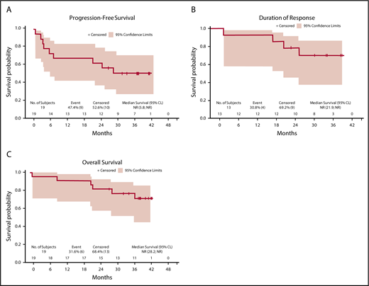 Figure 2. PFS, DOR, and OS in the treated set. (A) PFS; (B) DOR; and (C) OS. CL, confidence limit; NR, not reached.