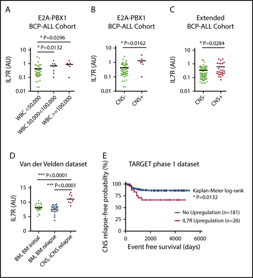 Figure 1. IL7R expression is associated with CNS disease and CNS relapse in pediatric BCP-ALL patients. Correlation analysis of IL7R expression in 61 E2A-PBX1+ pediatric patients with white blood cell (WBC) count (A) and CNS status (B). Unpaired Student t test, 2-sided P value. (C) Correlation analysis of IL7R expression in 98 pediatric BCP-ALL patients of mixed cytogenetics and CNS status. Further definitions are provided in supplemental Table 1. Unpaired Student t test, 2-sided P value. (D) IL7R expression in ALL cells retrieved from the CSF of 8 children with CNS relapse of BCP-ALL as well as from the bone marrow (BM) of 22 patients at diagnosis, and cells from the BM of 20 patients at the time of isolated BM relapse (data set, van der Velden et al16). Unpaired Student t test, 2-sided P value. (E) Kaplan-Meier survival curve showing reduced isolated CNS (iCNS) relapse-free probability in children with upregulated IL7R gene expression in diagnostic BM (n = 131) or peripheral blood (n = 76) samples of children with high-risk ALL. IL7R upregulation was defined as a z score for gene expression ≥1.2 (TARGET phase 1 data set). AU, arbitrary unit; IL7R, interleukin 7 receptor.
