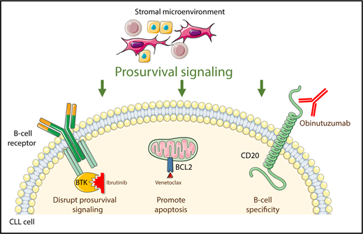 Ibrutinib, venetoclax, and obinutuzumab independently target 3 pathways critical for the survival of neoplastic B cells in CLL.