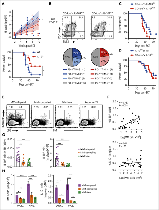 Non–T-cell-derived IL-10 production promotes loss of immune control after SCT. Recipients were transplanted as previously described with BM+T grafts from B6 donors. (A) MM-bearing recipients of WT (blue) or IL-10–deficient (IL-10−/−; red) grafts were monitored for survival and bled to quantify tumor burden using M-band (G/A). M-bands were modeled over time to calculate a predictive rate of tumor growth (indicated by solid line), with confidence intervals shaded and M-band relapse threshold shown as dotted line (n = 9-10 combined from 2 experiments). (B) Frequency of TIM-3 and PD-1 expression on CD8+ T cells from BM of MM-bearing recipients transplanted with grafts from CD4cre+ × IL-10Rfl/fl (red) or Cre-negative littermate control (blue) donors. FACS plots are representative. BM was harvested from MM-relapsed mice at 6 to 7 weeks after transplant (n = 7 combined from 2 experiments). (C-D) Survival of MM-bearing recipients transplanted with BM+T from (C) CD4cre+ × IL-10Rfl/fl (red) or Cre-negative littermate control (blue) donors (n = 10-11 combined from 2 experiments) and (D) CD4cre+ × IL-10fl/fl (red) or Cre-negative littermate control or WT (blue) donors (n = 15 combined from 2 experiments). (E-H) Recipients were transplanted with grafts from FoxP3-RFP × IL-10-GFP reporter donors. WT donors (Reporterneg) were used to define the IL-10+ gating strategy. Recipients were sacrificed 8 weeks after transplant, BM and spleen were harvested, and cells were analyzed using flow cytometry. (E) Representative FACS plots in BM. (F) Spearman r correlation of frequency of IL-10+ cells with MM burden in BM and spleen of MM-bearing mice (n = 32 combined from 4 experiments). (G-H) Total number of IL-10+ cells (G) and number of CD3+ and CD3− IL-10–producing cells (H) in the BM and spleen of MM-relapsed, MM-controlled, and MM-free mice (n = 16-17 combined from 4 experiments). To determine statistical significance, tumor burden was plotted using longitudinal mixed-effects linear models, and survival was analyzed using a log-rank test. A Mann-Whitney U test was used for numerical values and data are presented as mean ± SEM. *P < .05, **P < .01, ***P < .001.
